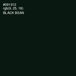 #091912 - Black Bean Color Image